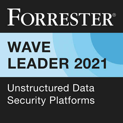 Forrester wave leader 2021