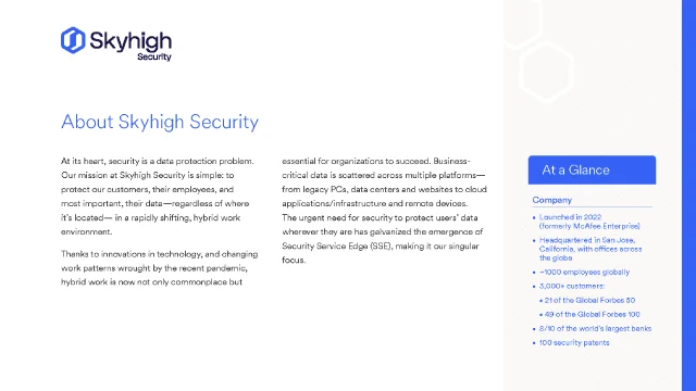 Skyhigh Security كتيب الشركة